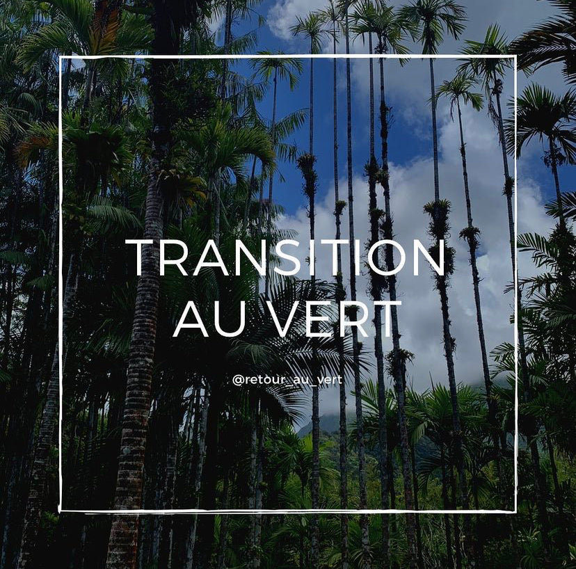 Vert Transfer Transition au vert – Retour au vert
